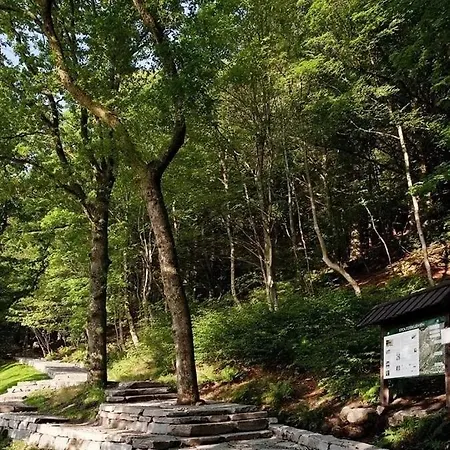 Quartet Bryggen - Quiet And Cozy - Norwegians Minimum Age 25 * 卑爾根